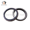 High Temperature Resistance Nbr Otary Shaft TC Oil Seal For FAST Transmission 100x120x12