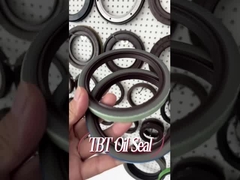 OEM 12011821B FKM Rubber Crankshaft Oil Seal For Scania Truck 80x100x12mm